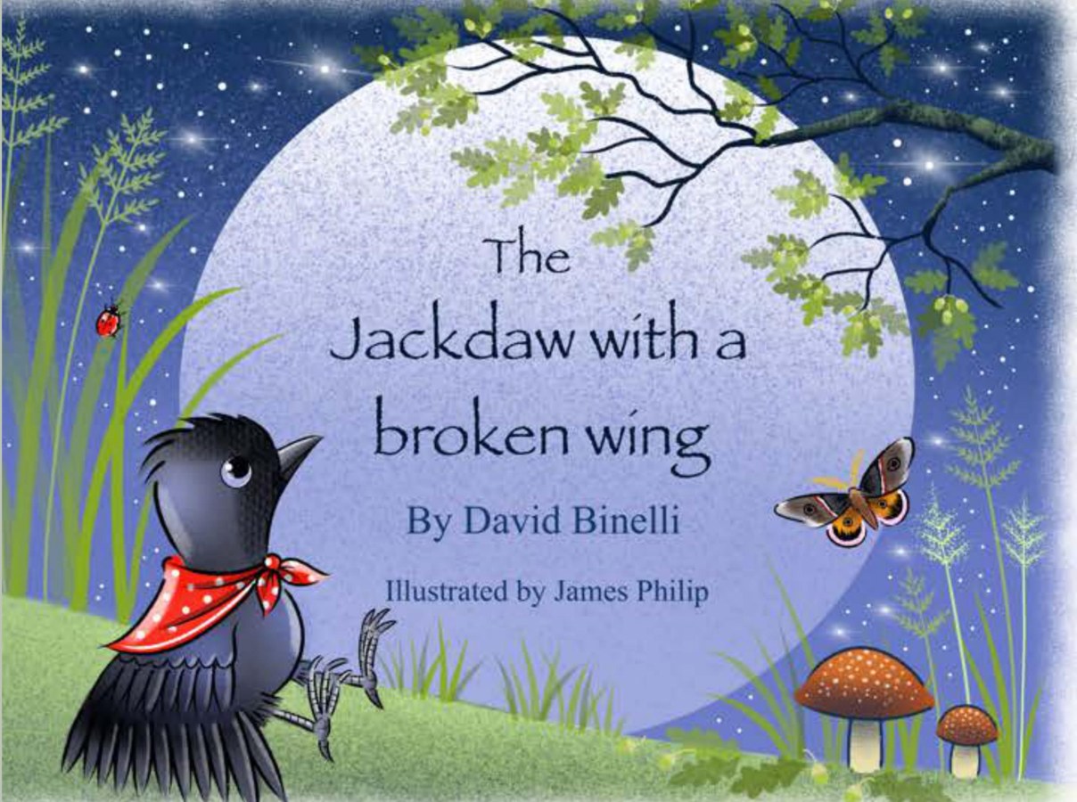 The Jackdaw with a Broken Wing cover