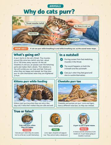 The Big Book of Why for Curious Kids sample page 1