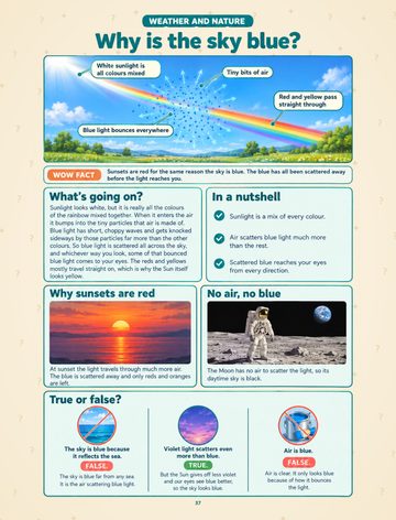 The Big Book of Why for Curious Kids sample page 3