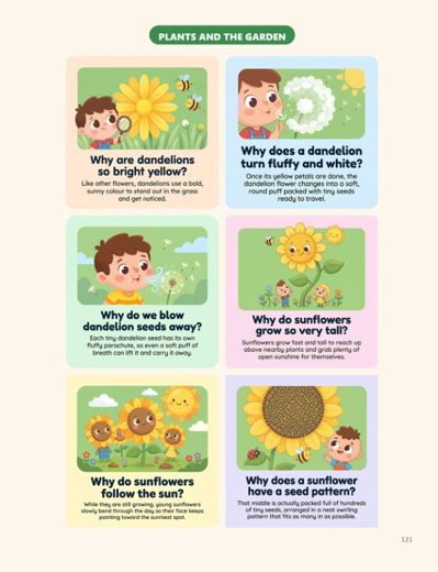 The Big Book of Why for Little Ones sample page 6