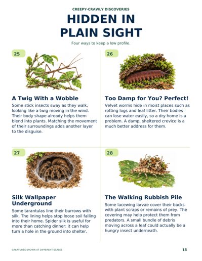 500 Gross and Amazing Bug Facts sample page 5