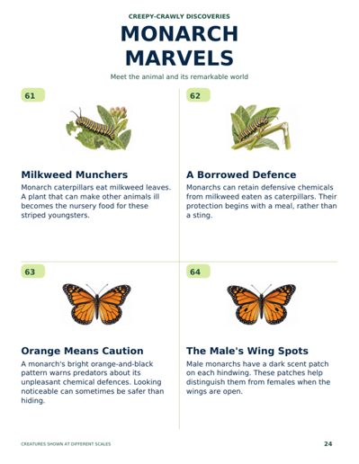 500 Gross and Amazing Bug Facts sample page 7