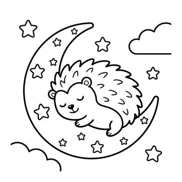 Hedgehog Bold & Easy sample page 8