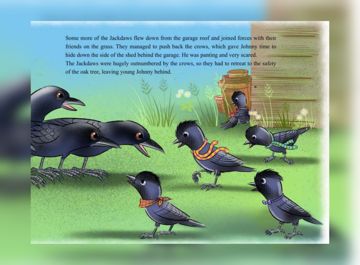 The Jackdaw with a Broken Wing sample page 3