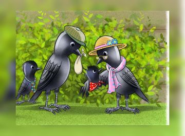 The Jackdaw with a Broken Wing sample page 5